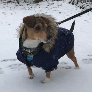 Meet your Posher, Elizabeth